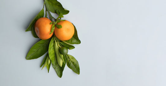 The Ultimate Guide to Mood Boosting Scents